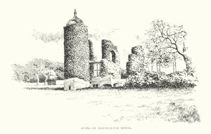 Ruinen von Brambletye House von Duncan Moul