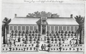 Holländischer Garten, aus De Nederlandze Hesperides von Jan Commelin, veröffentlicht 1676