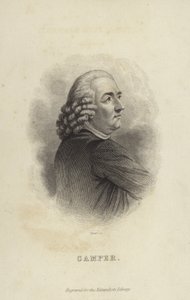 Petrus Camper