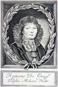 Regnier de Graaf, um 1670