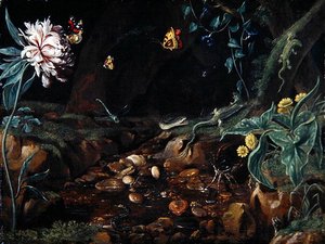 Bach in einer Schlucht mit Blumen und Reptilien