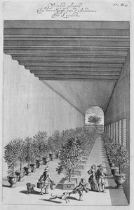 Das Treibhaus, aus De Nederlandze Hesperides von Jan Commelin, veröffentlicht 1676 von Dutch School