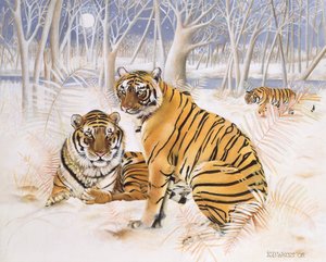 Tiger im Schnee, 2005