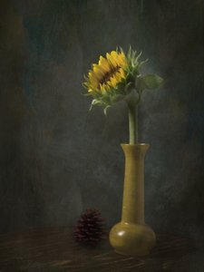 Rustikales Sonnenblumen Stillleben von EDUARDO LLERANDI