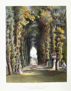 Aussicht in den Gärten von Teddesley, Sitz des ehrenwerten Lord Hatherton, 1857