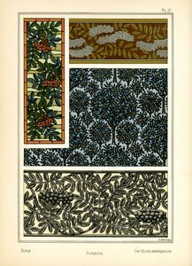 Die Mehlbeere von E. Hervegh