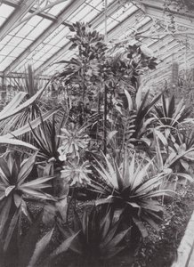 Kew Gardens, um 1900 von E. J. Wallis