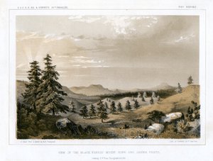 Der Schwarzwald Mount Hope und Sierra Prieta, USA, 1856 von E Stout