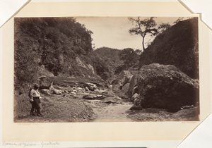 Barranca von Ynsiensi, Guatemala von Eadweard Muybridge