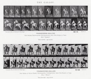 Der Galopp