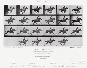 Eadweard Muybridge: Der Galopp (s/w Foto)