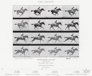 Eadweard Muybridge: Der Galopp (s/w Foto) von Eadweard Muybridge