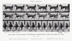 Der Galopp