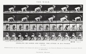 Eadweard Muybridge: Der Gang von Eadweard Muybridge