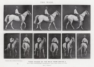 Eadweard Muybridge: Der Gang (s/w Foto)