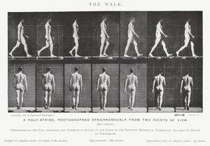 Eadweard Muybridge: Der Gang (s/w Foto)