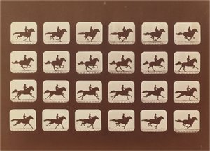 Pferde. Rennen. Phyrne L. Nr. 40 von Eadweard Muybridge