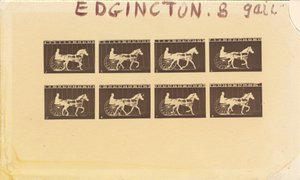 Internegativ für Pferde. Trabend. Abe Edgington. Nr. 28 von Eadweard Muybridge