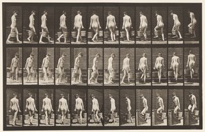 Drehen und Treppensteigen, Eimer Wasser in jeder Hand von Eadweard Muybridge