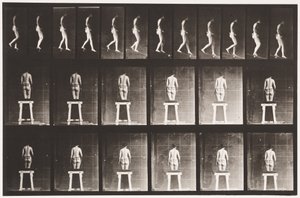 Tafel 118. Steigung hinabsteigen von Eadweard Muybridge