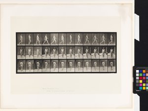 Tafel 11. Gehen von Eadweard Muybridge