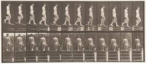 Absteigende Neigung, Eimer Wasser in der rechten Hand von Eadweard Muybridge