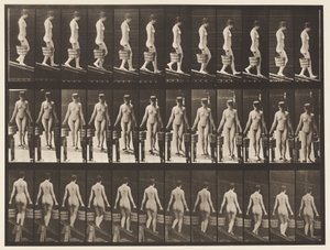 Absteigende Neigung, Eimer Wasser in jeder Hand von Eadweard Muybridge