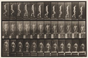 Tafel 125. Treppenabstieg von Eadweard Muybridge