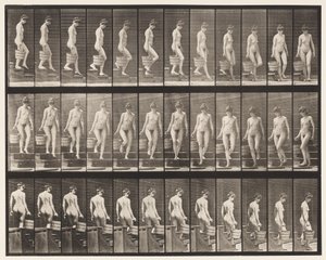 Treppen hinuntergehen; Eimer Wasser in der rechten Hand drehen von Eadweard Muybridge