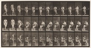Tafel 238. Auf Stuhl sitzen, Beine überkreuzen, aus Teetasse trinken von Eadweard Muybridge