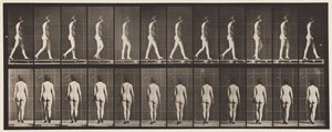Tafel 25. Gehen, mit hochhackigen Schuhen von Eadweard Muybridge
