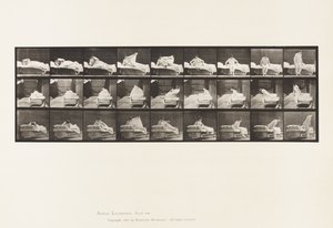 Platte 265. Aus dem Bett steigen und sich zum Knien vorbereiten von Eadweard Muybridge