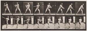 Tafel 279. Baseball; Schlagen von Eadweard Muybridge