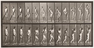 Tafel 291. Cricket; Schlagen; Drive