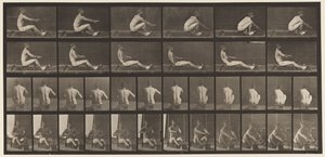 Tafel 328. Rudern von Eadweard Muybridge