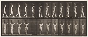 Tafel 34. Gehen von Eadweard Muybridge