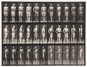 Tafel 351. Bajonette fixieren und lösen, 1872-1885 von Eadweard Muybridge