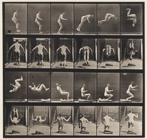 Tafel 363. Laufender Salto