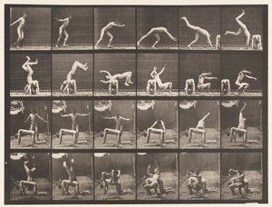 Tafel 364. Handstand über den Rücken eines Mannes