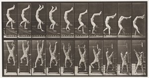 Tafel 368. Akrobat, Treppe auf Händen hinuntergehen
