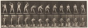 Tafel 376. Schmied, Hämmern auf dem Amboss, zwei Hände von Eadweard Muybridge