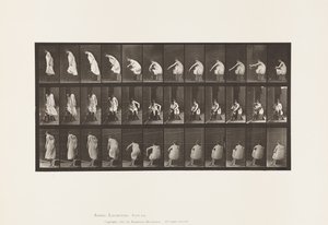 Tafel 423. Toilette; Stiefel anziehen und vom Stuhl aufstehen