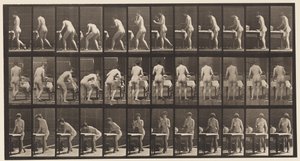 Tafel 435. Kleidung bügeln von Eadweard Muybridge