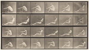 Tafel 492. A von Eadweard Muybridge