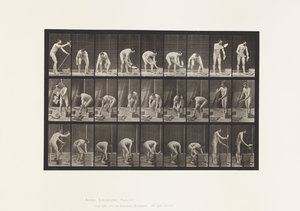 Tafel 505. Mauern von Eadweard Muybridge