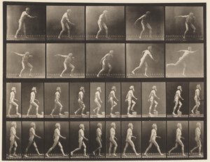 Tafel 519. A, Diskus werfen; B, Treppen steigen; C, Gehen von Eadweard Muybridge