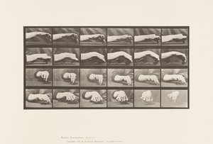 Tafel 532. Bewegung der Hand; einen Kreis zeichnen von Eadweard Muybridge