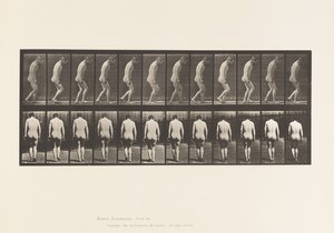 Tafel 558. Paraplegie; Teilweise; Gehen, 1885 von Eadweard Muybridge