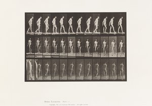 Tafel 559. Verbreitete Sklerose; Gehen mit Stock von Eadweard Muybridge