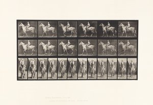 Tafel 583. Gehen; Sattel; Reiterin; Nackt; Graues Pferd Tan